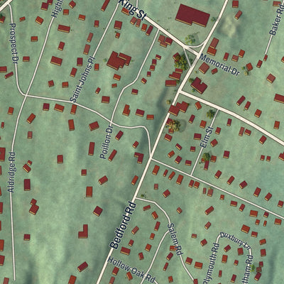 Close-up 1 of the Chappaqua, New York map artwork