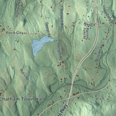 Close-up 2 of the Chatham, New York map artwork