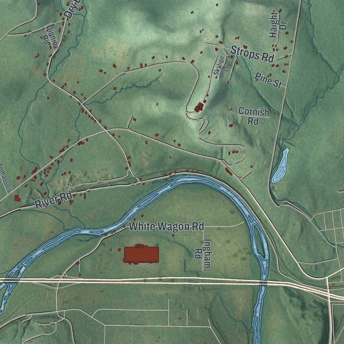 Close-up 1 of the Chemung, New York map artwork