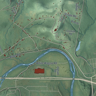 Close-up 1 of the Chemung, New York map artwork
