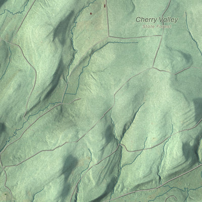 Close-up 2 of the Cherry Valley, New York map artwork