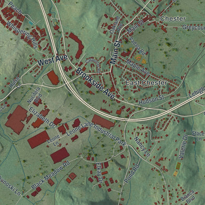 Close-up of the map of Chester, Orange County, New York print showing street and building detail