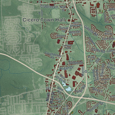 Close-up 1 of the Cicero, New York map artwork