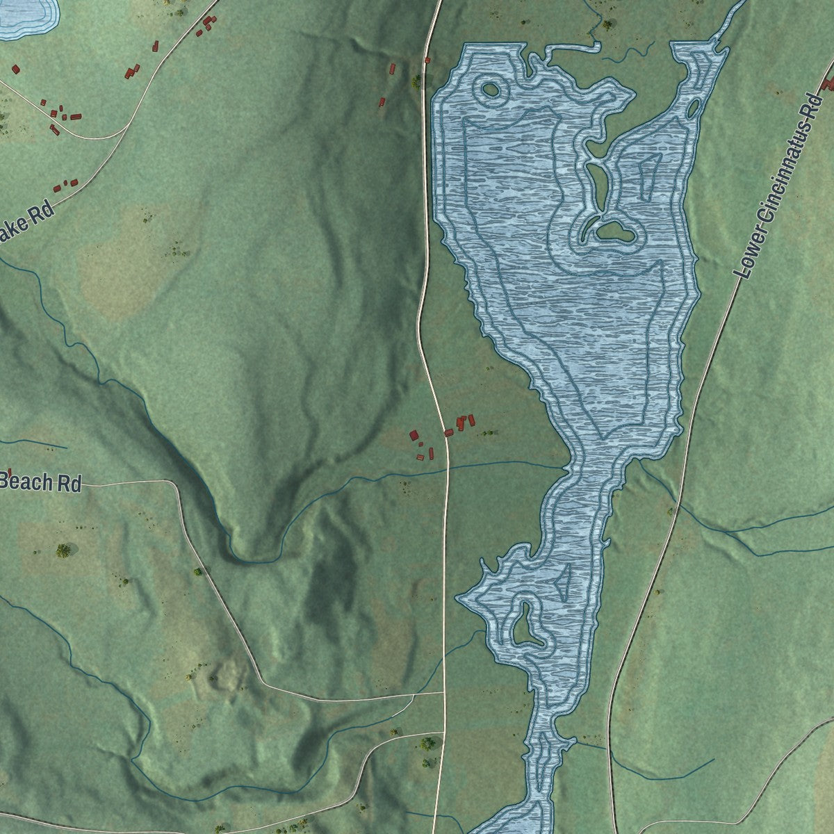 Close-up 1 of the Cincinnatus, New York map artwork