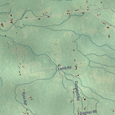 Close-up 1 of the Clinton Town (Clinton County), New York map artwork