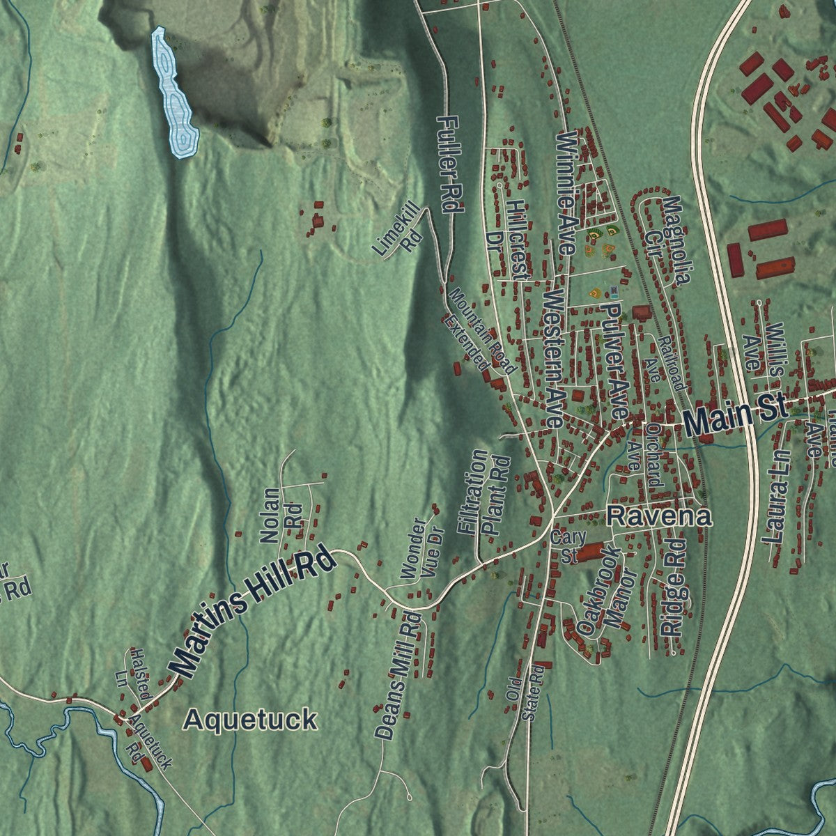 Close-up 1 of the Coeymans, New York map artwork