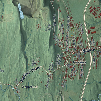 Close-up 1 of the Coeymans, New York map artwork