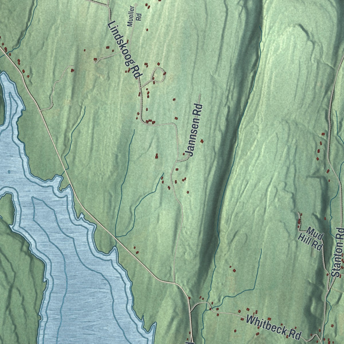 Close-up 2 of the Coeymans, New York map artwork