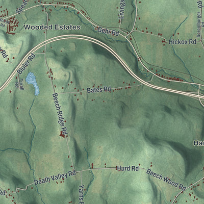 Close-up 2 of the Colesville, New York map artwork