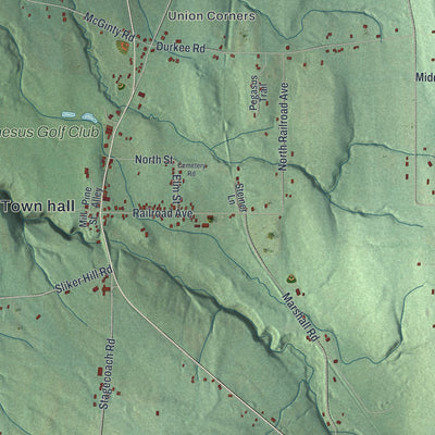Close-up 2 of the Conesus, New York map artwork