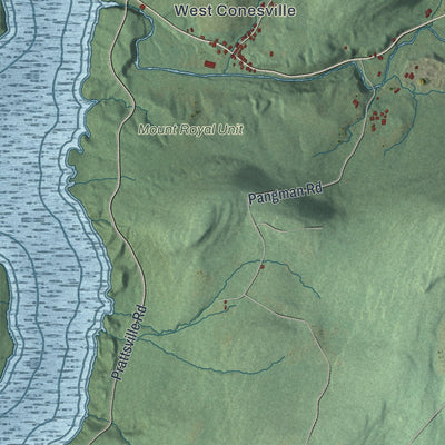 Close-up 1 of the Conesville, New York map artwork
