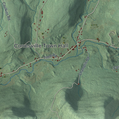 Close-up 2 of the Conesville, New York map artwork