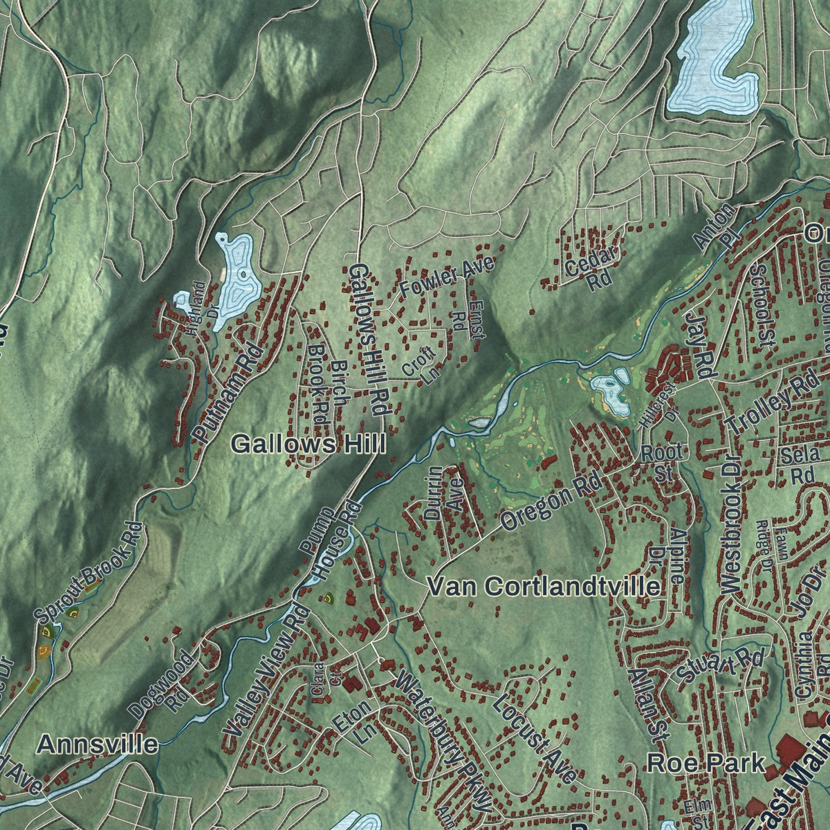 Close-up 2 of the Cortlandt, New York map artwork