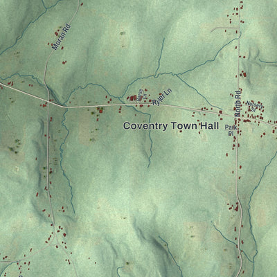 Close-up 2 of the Coventry, New York map artwork