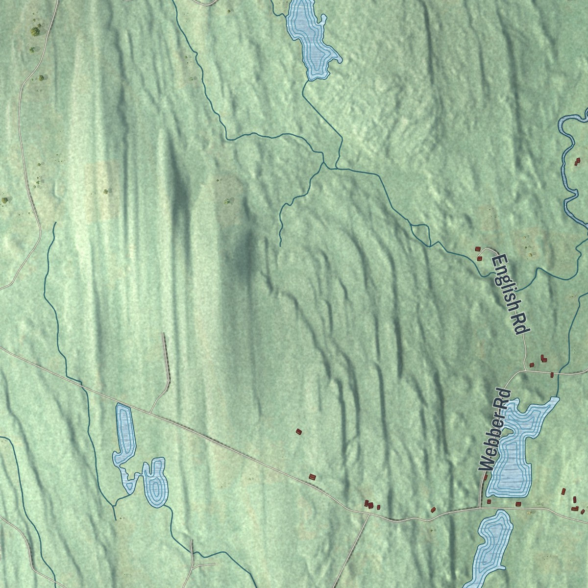 Close-up 2 of the Coxsackie, New York map artwork