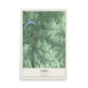 Cuba, New York map print, 12" x 18" Archival Matte Print mockup