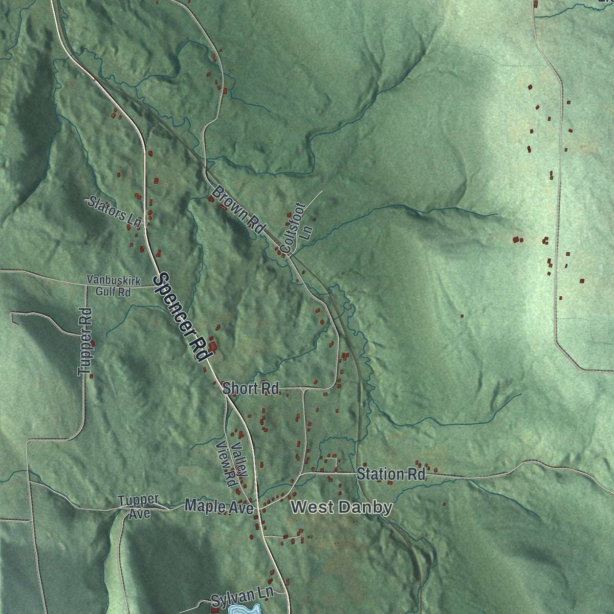 Close-up 1 of the Danby, New York map artwork