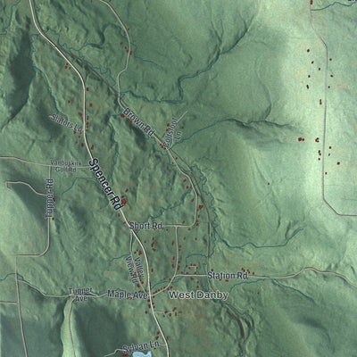 Close-up 1 of the Danby, New York map artwork