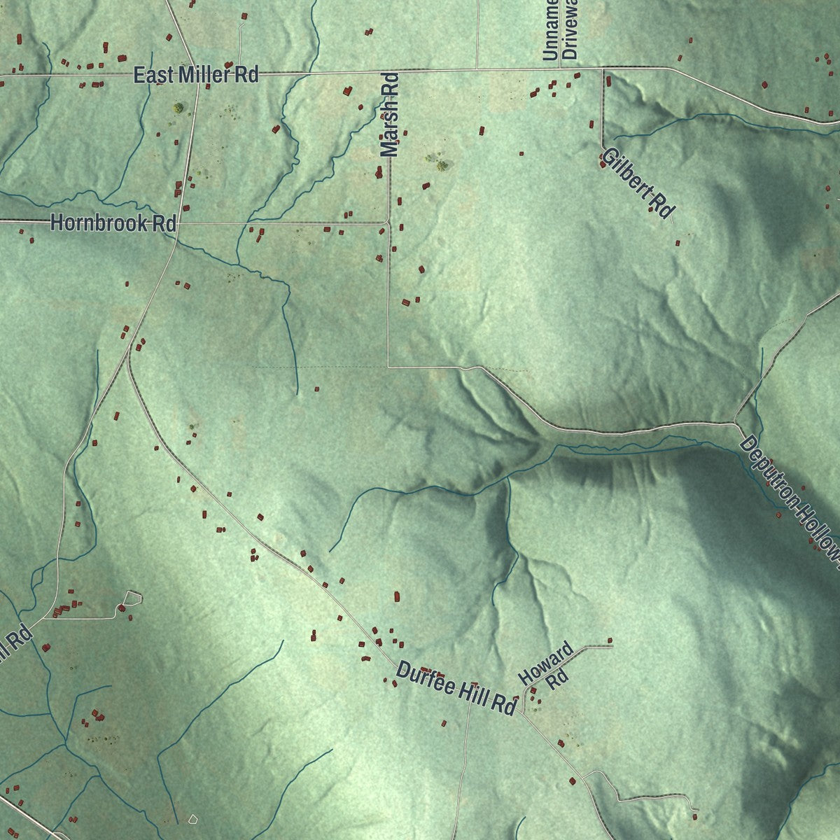 Close-up 2 of the Danby, New York map artwork