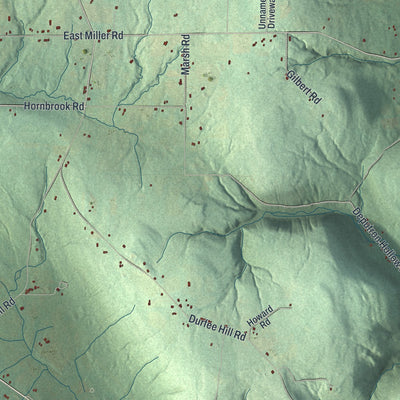 Close-up 2 of the Danby, New York map artwork