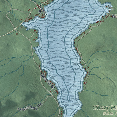 Close-up 1 of the Dannemora, New York map artwork