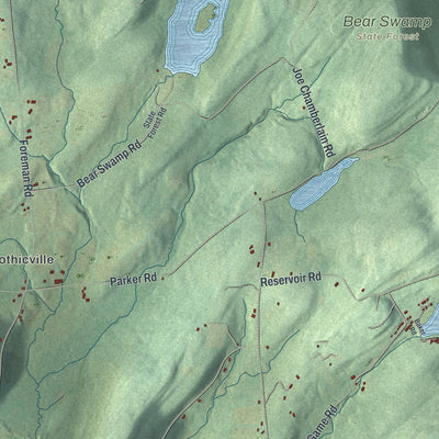Close-up 1 of the Decatur, New York map artwork