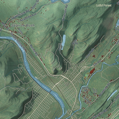 Close-up of the map of Deerpark, New York print showing street and building detail