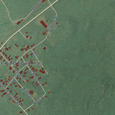 Close-up of the map of DeKalb Junction, New York print showing street and building detail