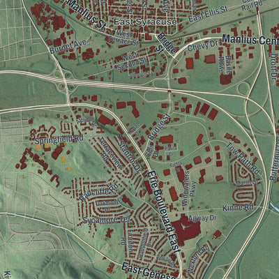 Close-up 1 of the DeWitt, New York map artwork