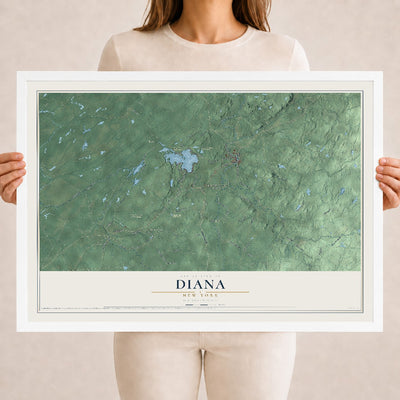 Diana, New York map print, 18" x 24" W/ White Ayous Wood Frame mockup