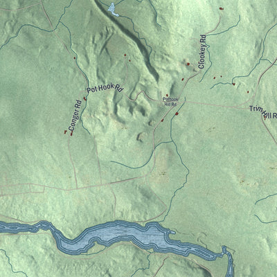 Close-up of the map of Dickinson, Franklin County, New York print showing street and building detail