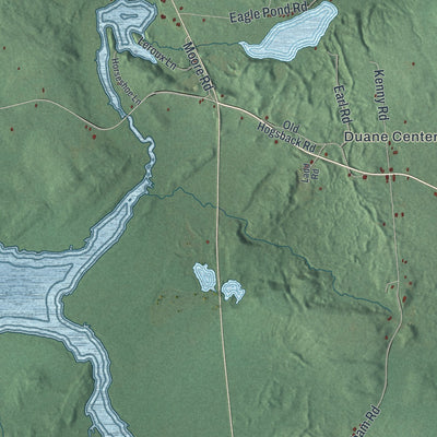 Close-up 2 of the Duane, New York map artwork