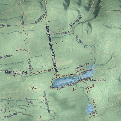 Close-up 2 of the Duanesburg, New York map artwork