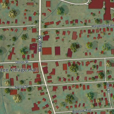 Close-up of the map of Dundee, New York print showing street and building detail