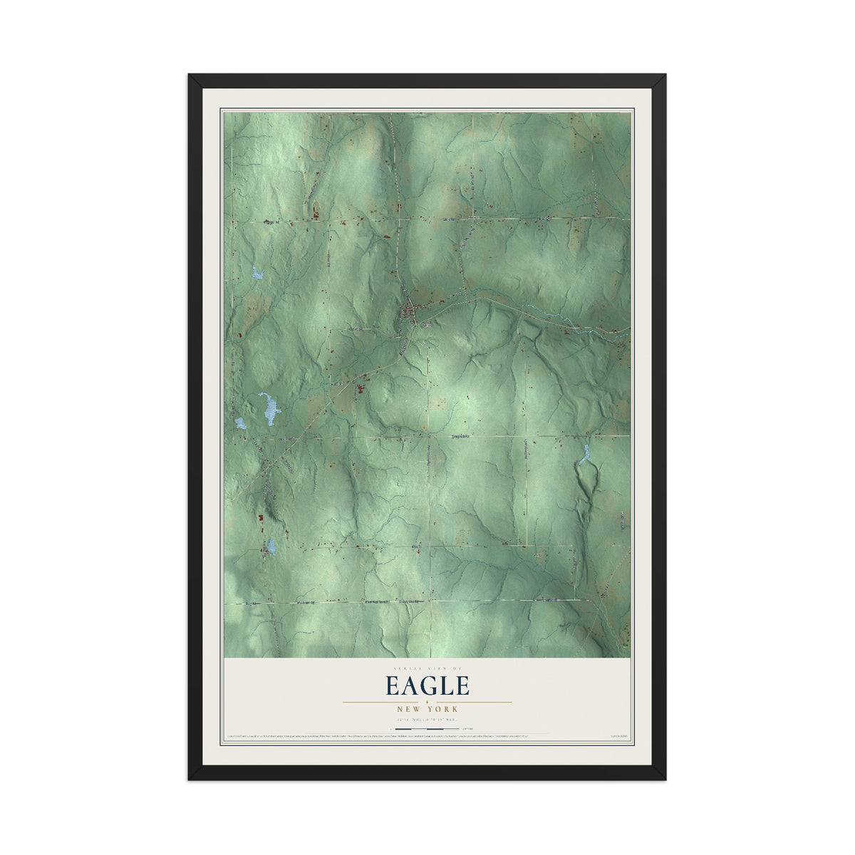 Eagle, New York map print, 12" x 18" W/ Black Ayous Wood Frame mockup