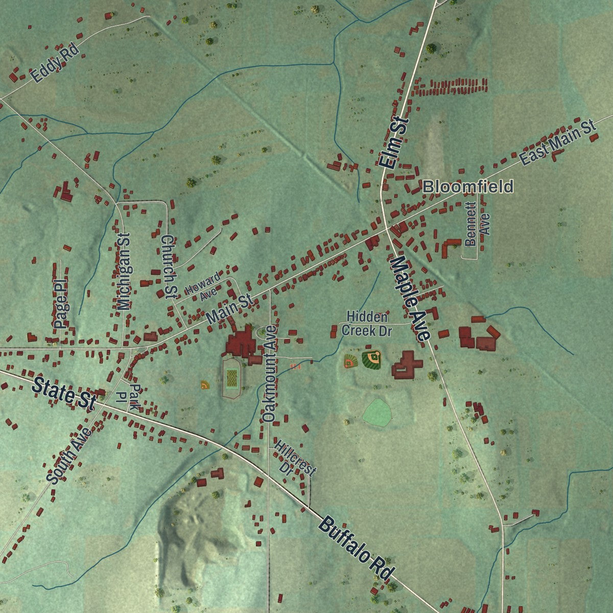 Close-up 1 of the East Bloomfield, New York map artwork