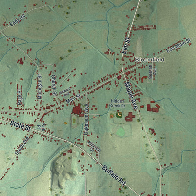 Close-up 1 of the East Bloomfield, New York map artwork
