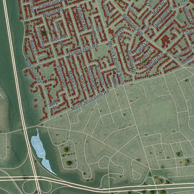 Close-up 2 of the East Meadow, New York map artwork