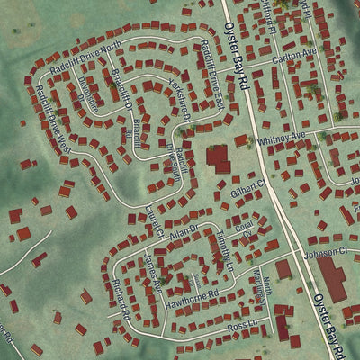 Close-up of the map of East Norwich, New York print showing street and building detail