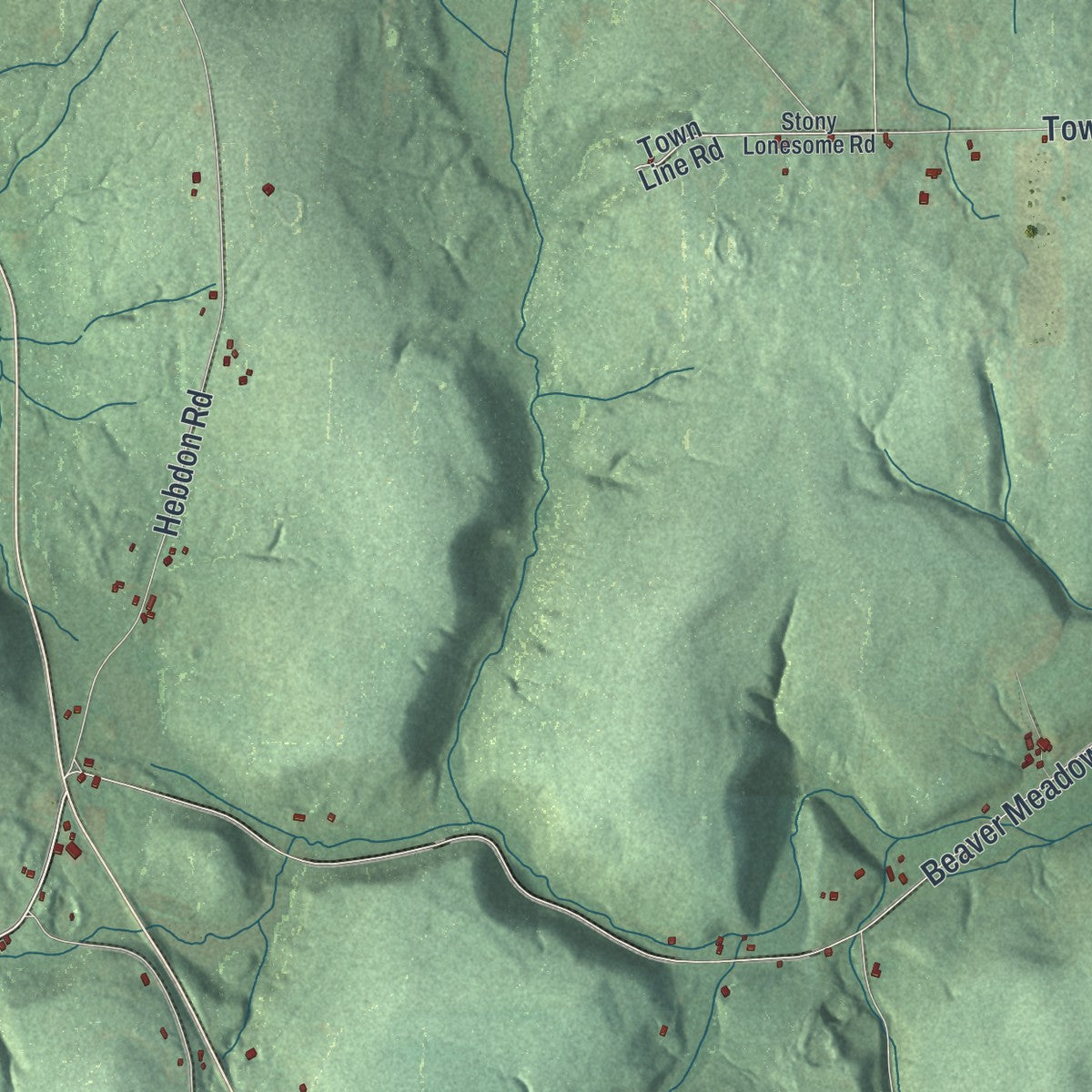 Close-up 2 of the Ellicottville, New York map artwork