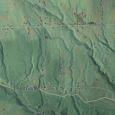 Close-up 1 of the Enfield, New York map artwork
