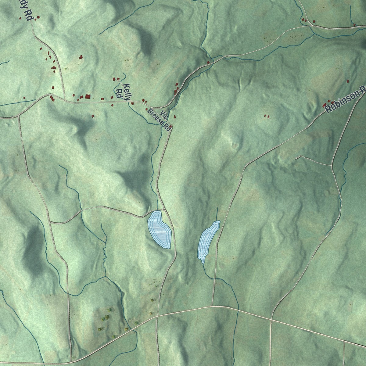 Close-up 2 of the Exeter, New York map artwork