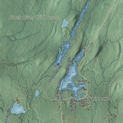 Close-up 2 of the Forestport, New York map artwork
