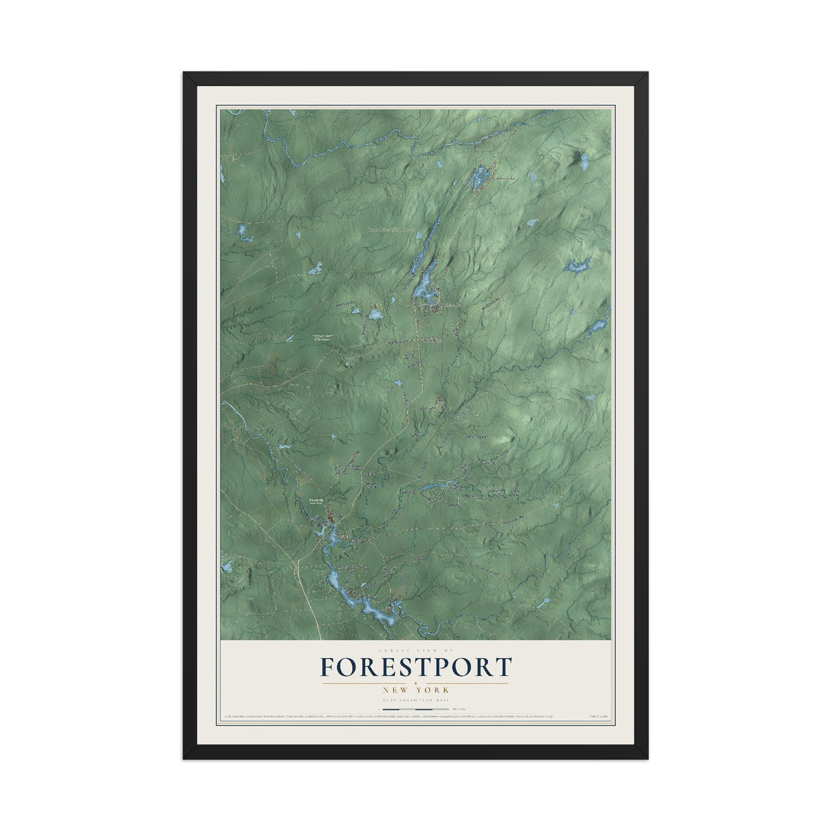 Forestport, New York map print, 12" x 18" W/ Black Ayous Wood Frame mockup