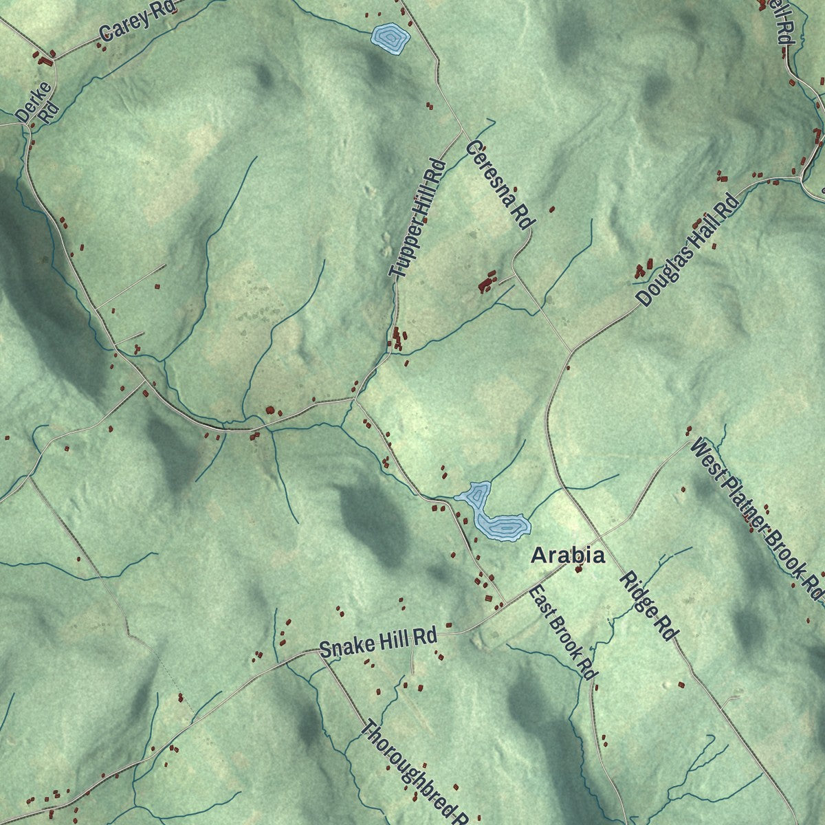 Close-up 1 of the Franklin Town (Delaware County), New York map artwork