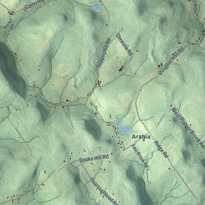 Close-up of the map of Franklin, Delaware County, New York print showing street and building detail