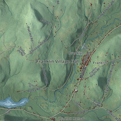 Close-up 2 of the Franklin Town (Delaware County), New York map artwork