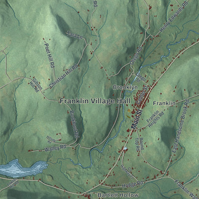 Second close-up of the map of Franklin, Delaware County, New York print showing more streets and buildings