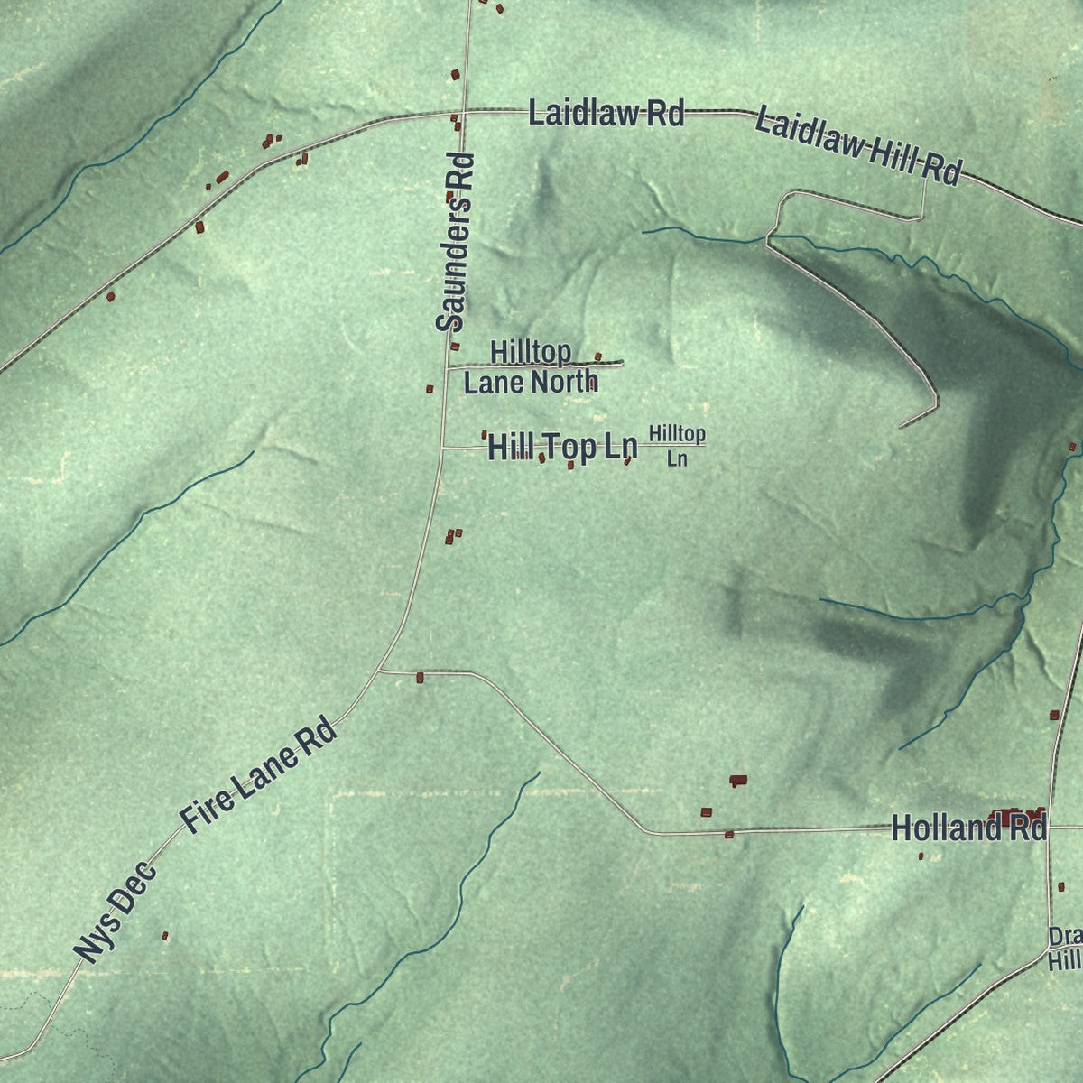 Close-up 2 of the Franklinville, New York map artwork