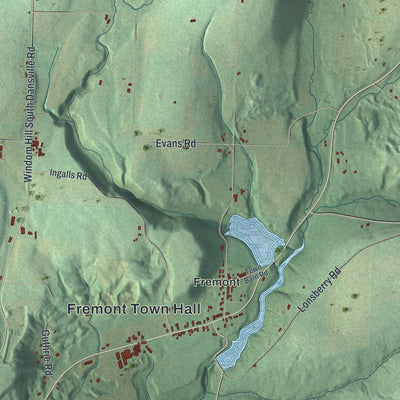 Close-up of the map of Fremont, Steuben County, New York print showing street and building detail